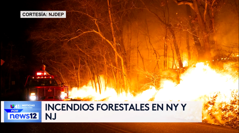 Story image: Univision 41 News Brief: Incendios forestales en NY y NJ