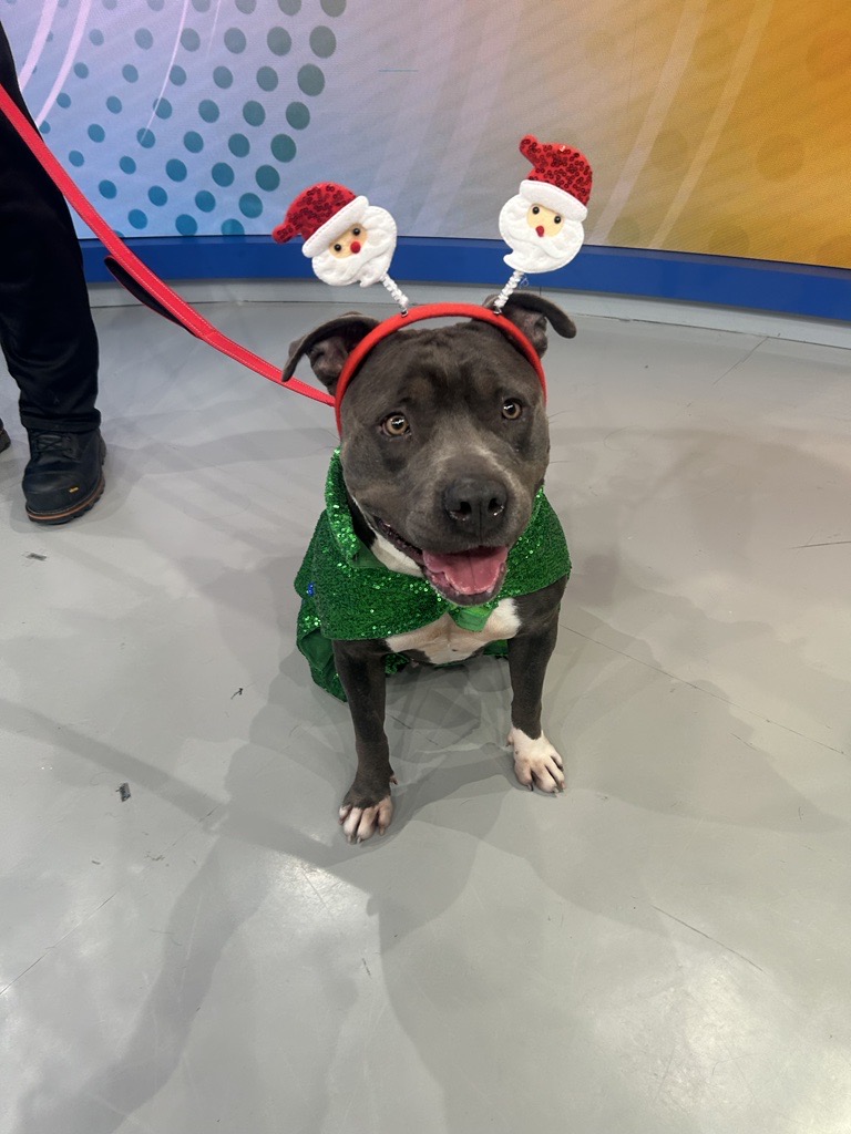 MicrosoftTeams-image (165).png