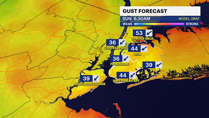 BK GUST.png