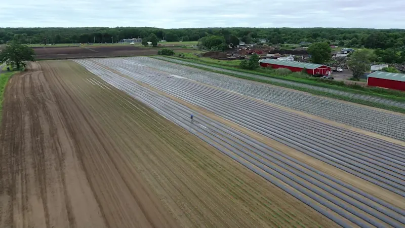 Story image: The East End: Lenny Bruno Farms