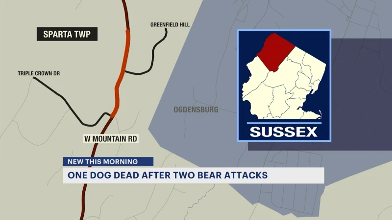 Story image: Police: 1 dog dies following bear attack in Sparta