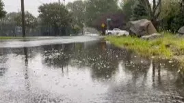 floodprepthumb