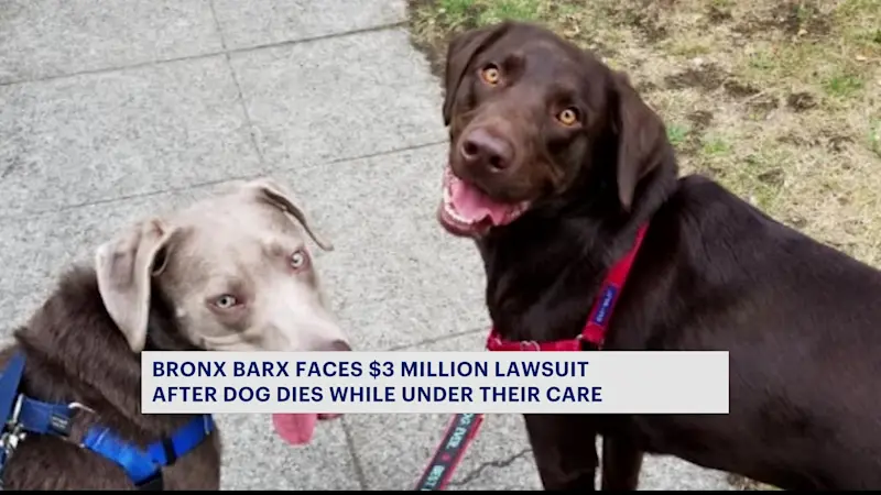 Story image: Dog service facility faces $3 million lawsuit after dog dies in its care