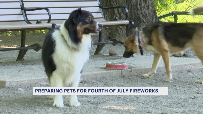 Story image: Animal experts warn pet owners to monitor their pets during July 4 fireworks displays