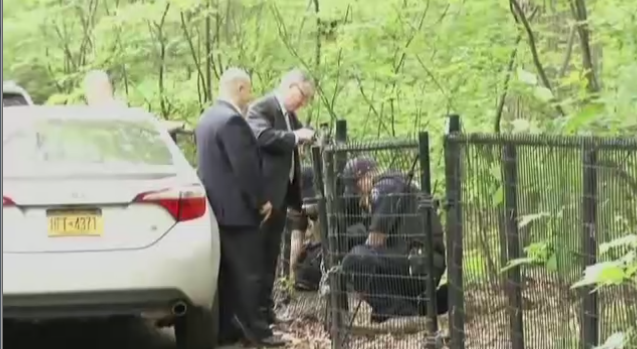 Article 119320 Thumbnail