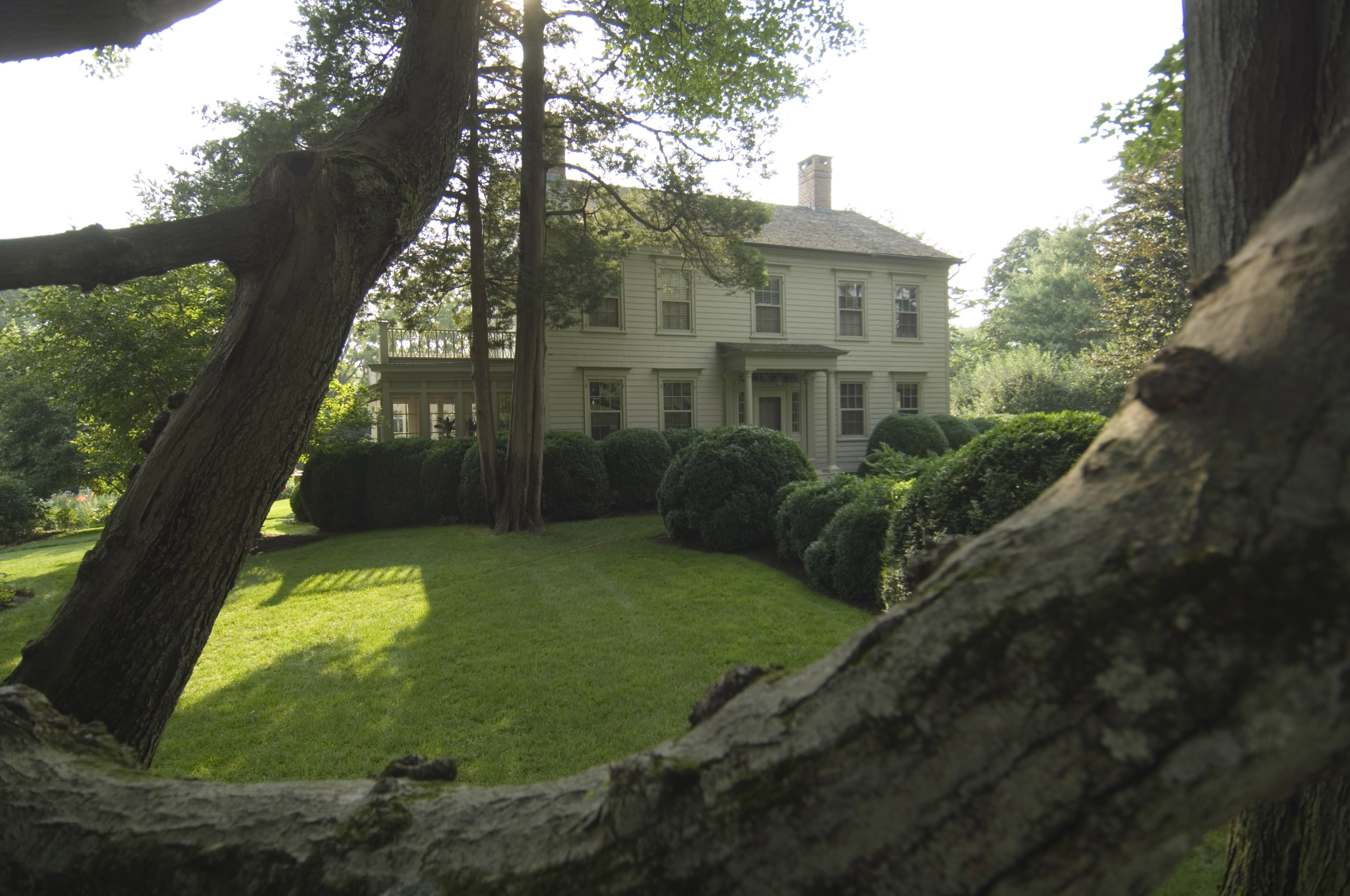 Article 296307 Hero Image