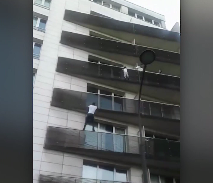 Article 130496 Thumbnail