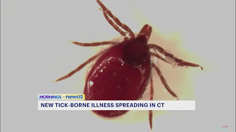 Story image: Invasive tick brings HME surge to Connecticut