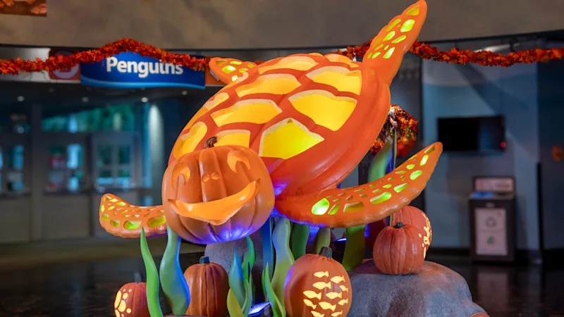 Adventure_Aquarium_Fintastic_Pumpkin_Glow_02.jpg