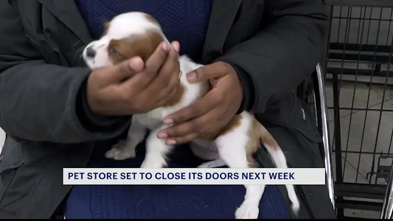 Story image: Bronx pet shop customers feel the effects of upcoming statewide ban on retail pet sales