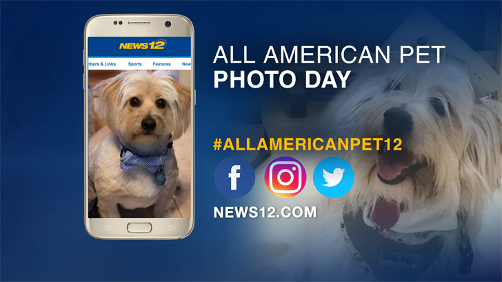 Article 120703 Thumbnail