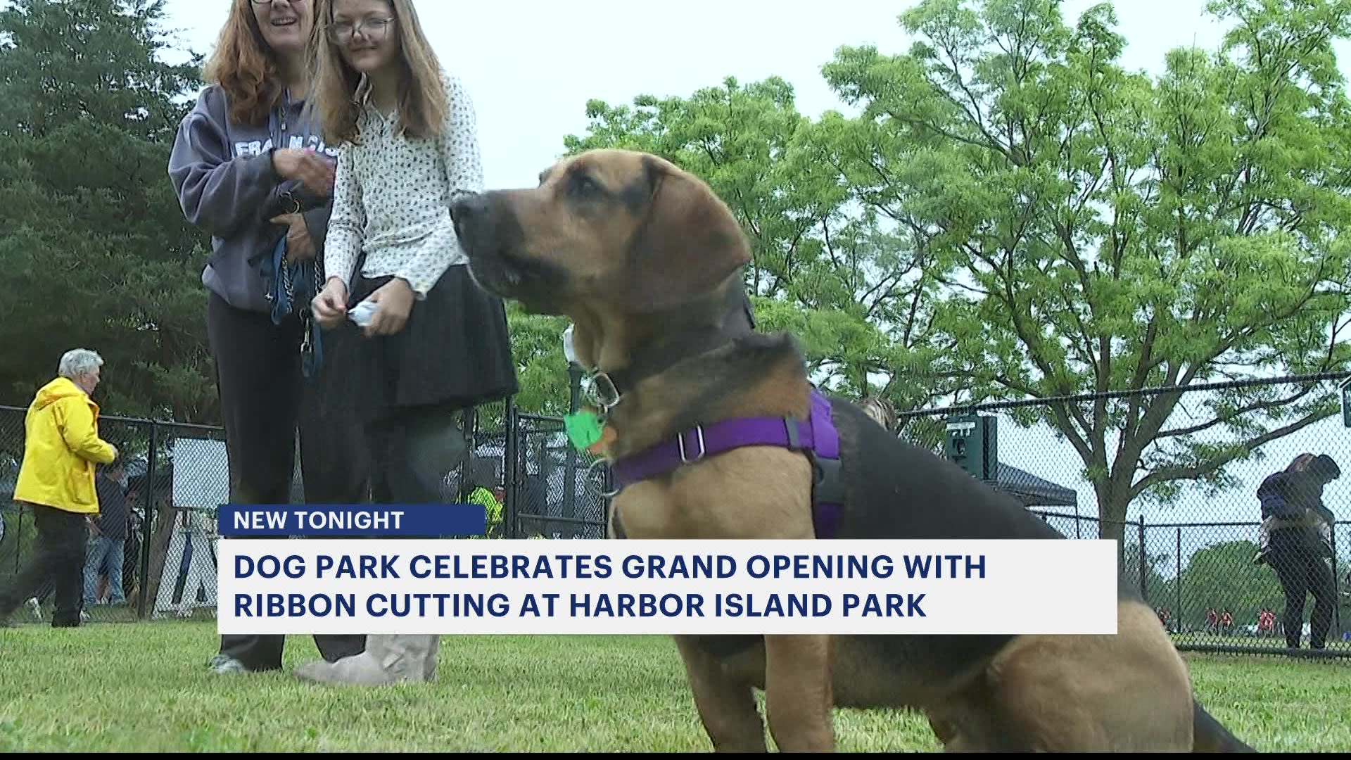 Dog park in Village of Mamaroneck celebrates grand opening