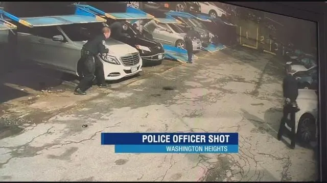 Article 109379 Thumbnail