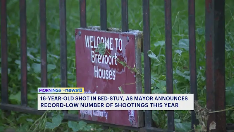 Story image: 16-year-old boy shot in Bed-Stuy, just one day before mayor’s record-low gun violence post