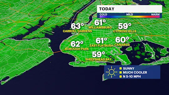 brooklyn today