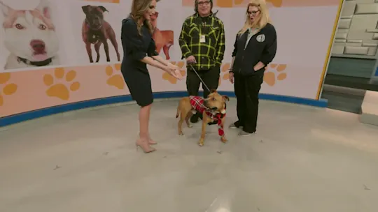 PAWS and PALS_1212_2025-12-12-10-31-12
