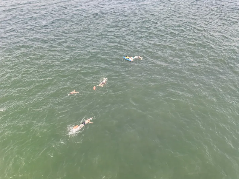 LIFEGUARDS.JPG