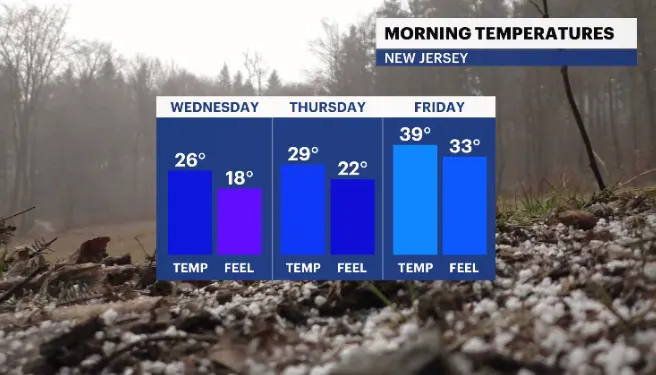 am temps wc.PNG