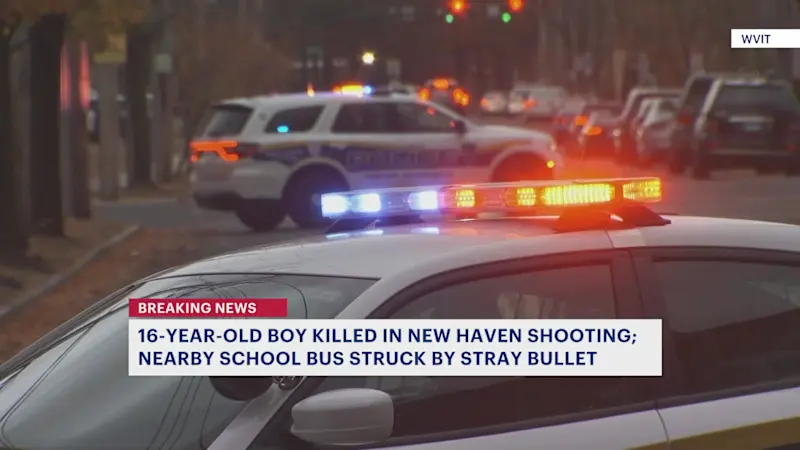 Story image:  Police: 16-year-old fatally shot in New Haven; passing school bus struck by stray bullet