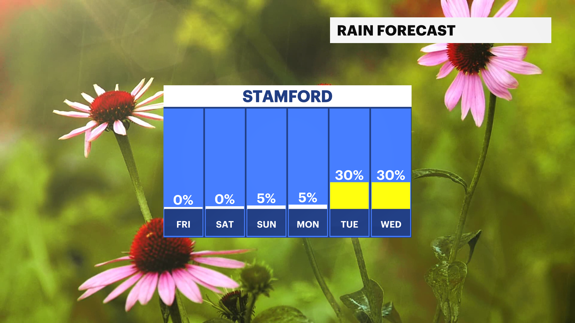 FB_Rain_Day.png