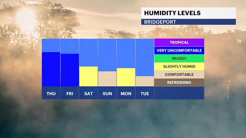 FB_Dewpoint_Daily2.png