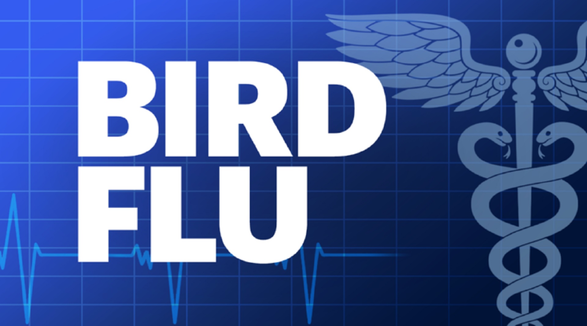 Officials Confirm New Jersey’s First Case Of Highly Pathogenic Avian ...