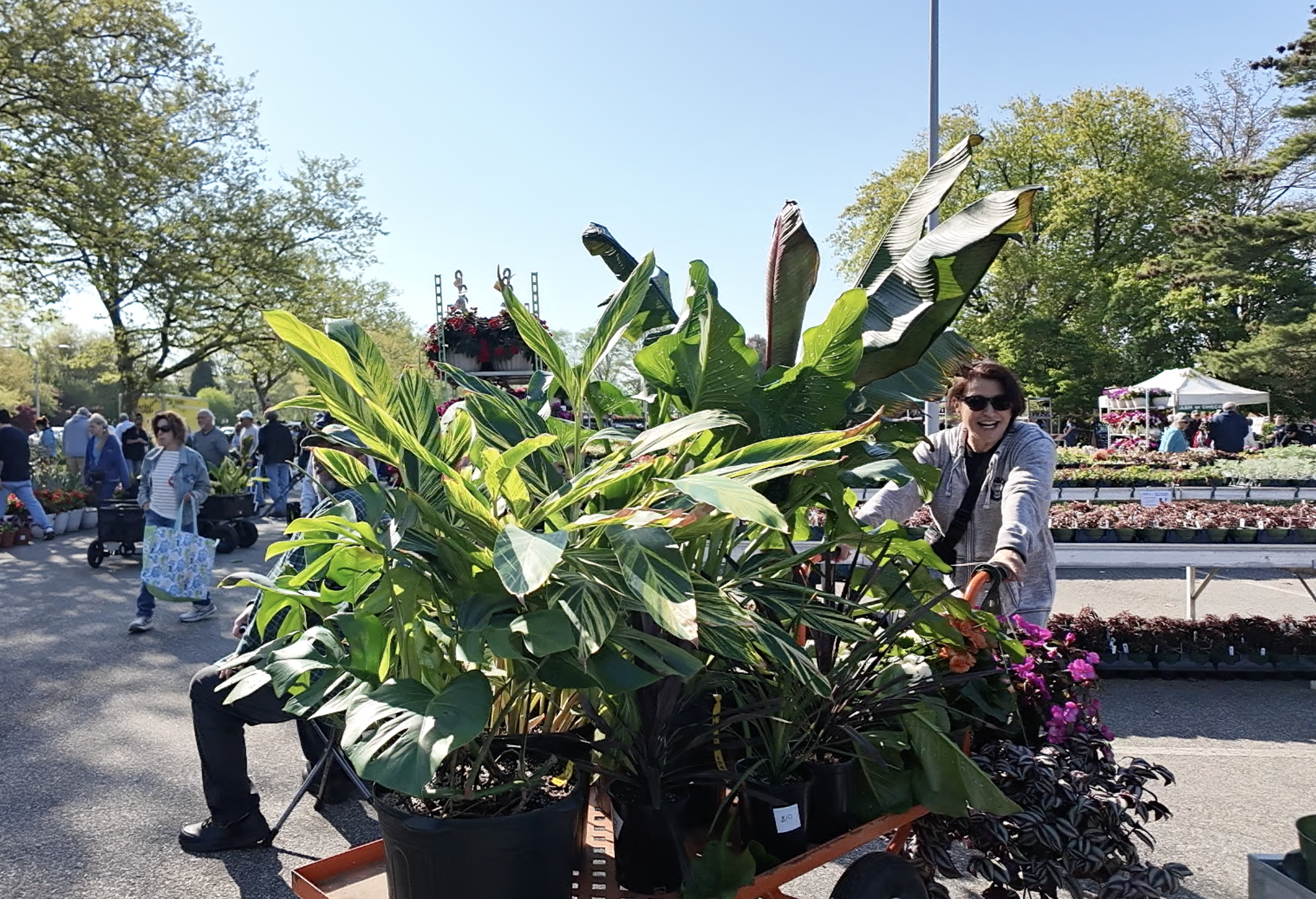 Plant Sale