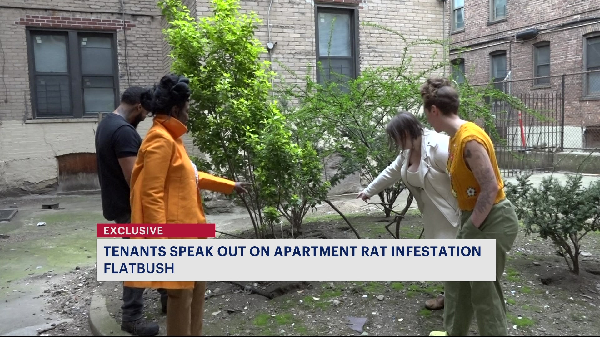 News 12 | Bronx | Its Terrifying Flatbush Tenants Describe Living With Rats