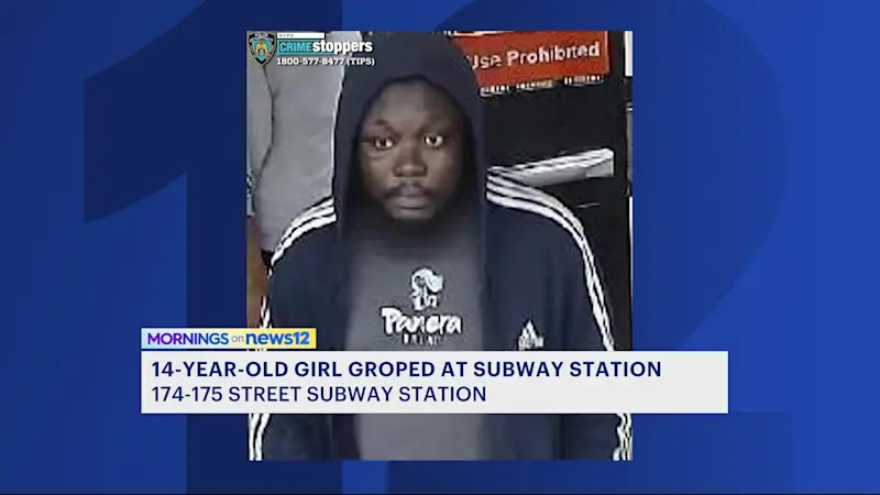 Story image: 14-year-old girl groped by man inside a subway station
