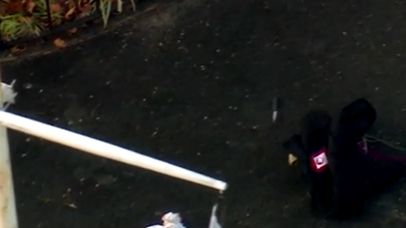 Story image: Univision 41 News Brief: Un incendio en el vecindario de jackson heights, en queens, cobró la vida de una anciana puertorriqueña de 80 años de edad