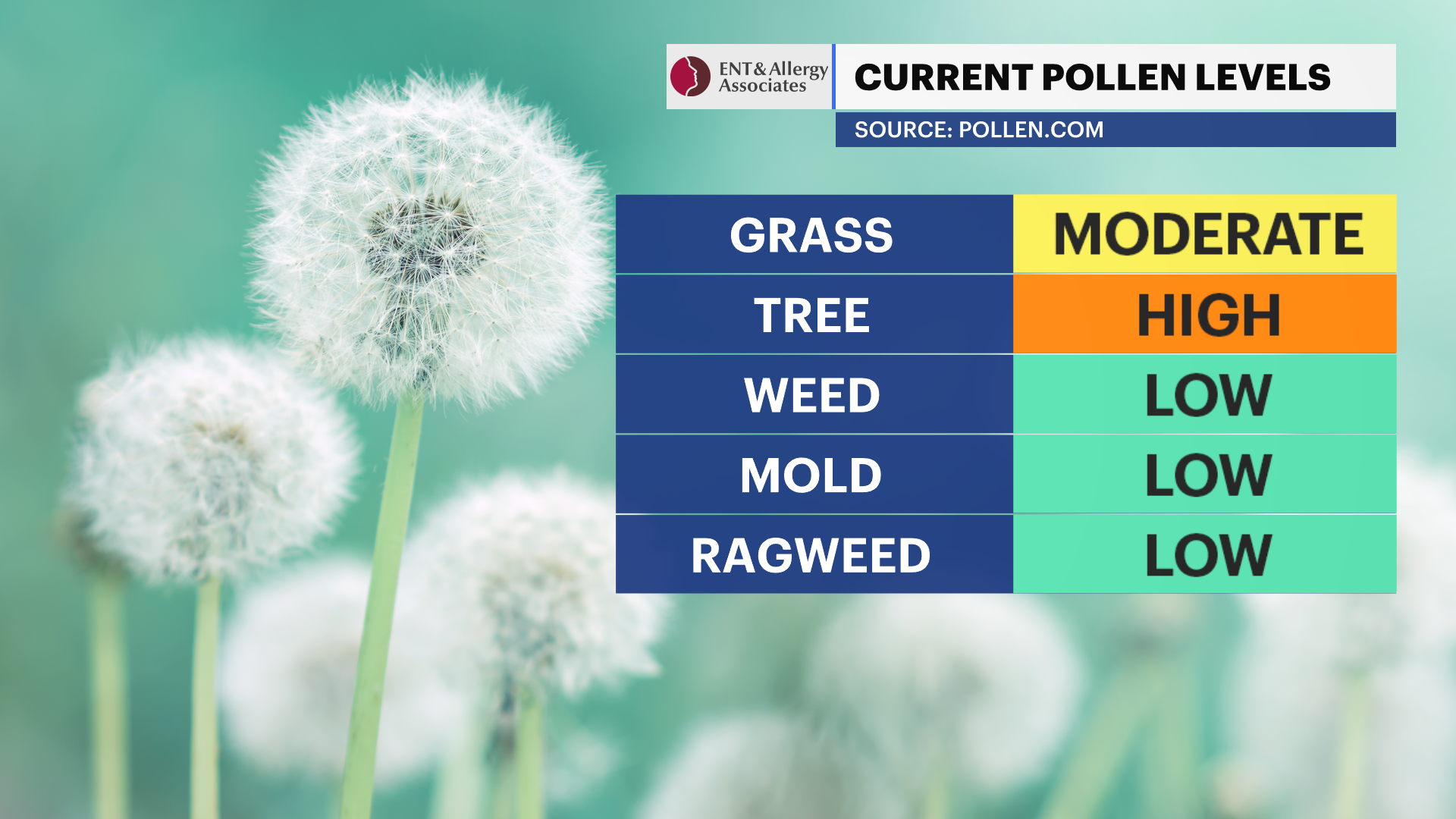 C_Pollen.png
