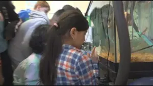 What's Cool at School: PS 179 students raise trout in the classroom