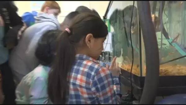 What's Cool at School: PS 179 students raise trout in the classroom