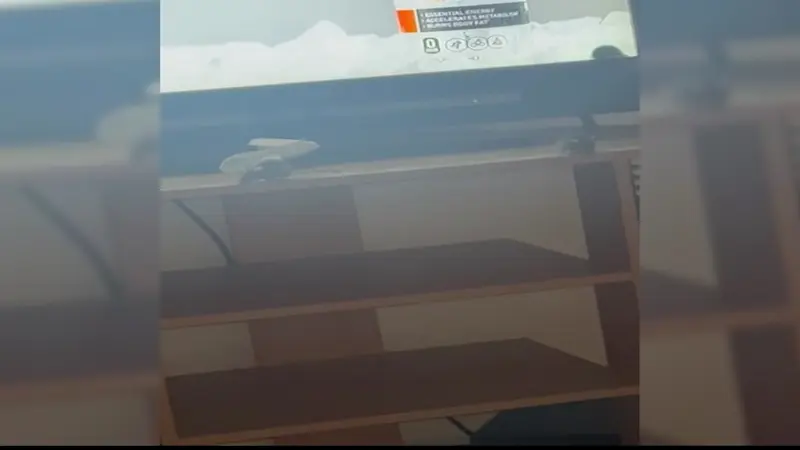 Story image: Bronx family faces unsanitary apartment conditions amid 'ignored' concerns To landlord