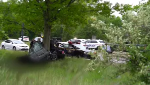 Car left wrapped around tree in crash on Meadowbrook Parkway