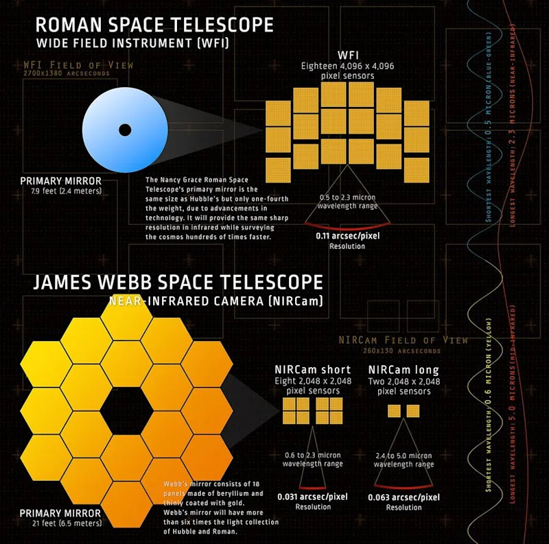 Roman-Webb_Infographic3_Half.jpg
