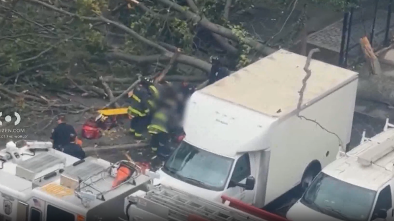Story image: East New York neighbors concerned after NYCHA worker killed by fallen tree