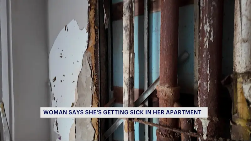 Story image: Brooklyn woman says NYCHA apartment making her sick