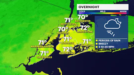 NY F P1 PM 1