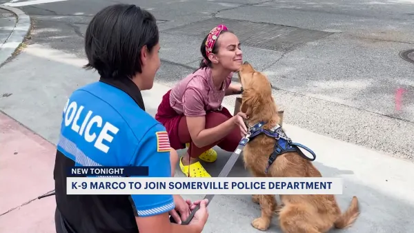 Somerville police to swear in new K-9 officer they hope will help spread ‘pawsitivity’