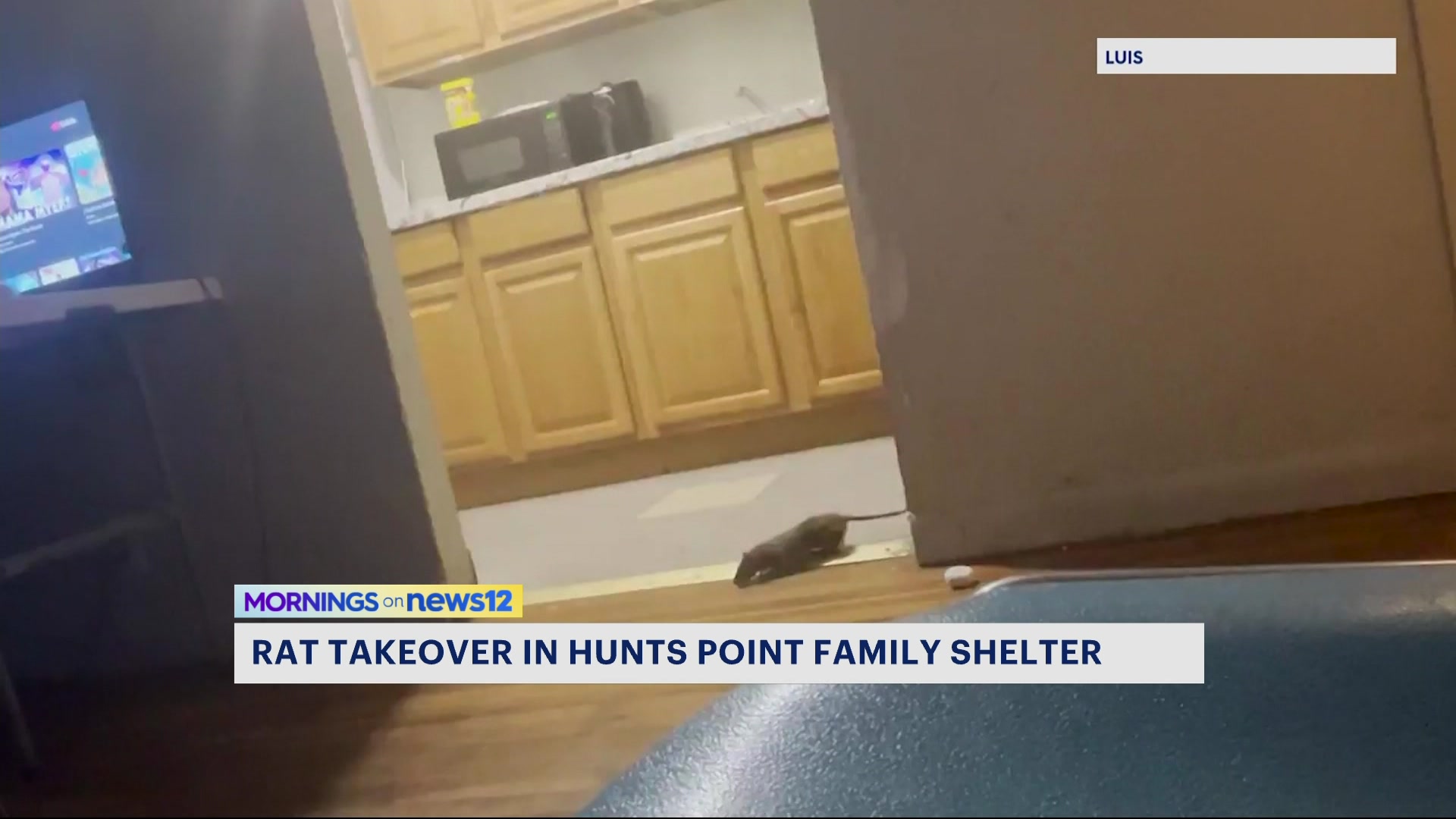 Father Mouse News 12 | Bronx | Father Says His Unit At A Family Shelter In Hunts ...