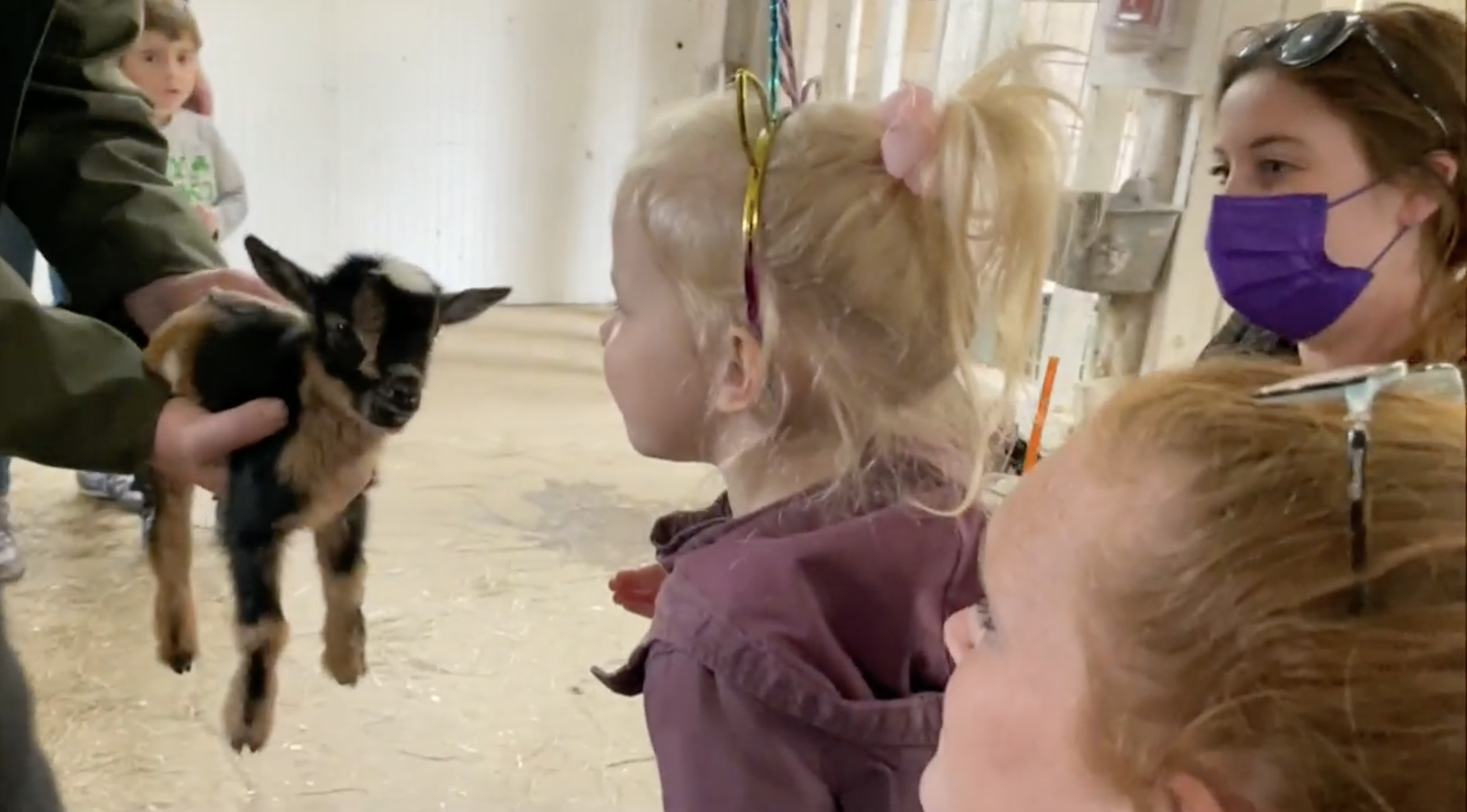 Article 295380 Hero Image