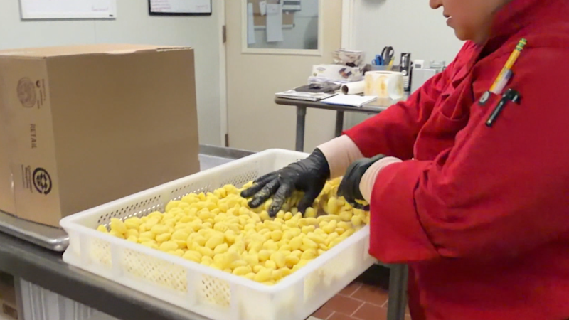 Story image: Made in the Hudson Valley: Man spends 30-plus years sharing family's Italian culture through Tuscana Pasta Co.