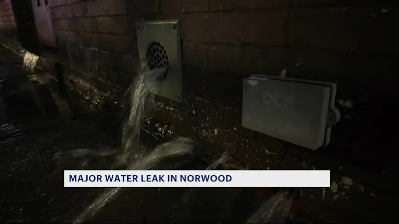 Story image: Norwood residents sound alarm as water gushes from vacant buildings leaving sidewalks flooded