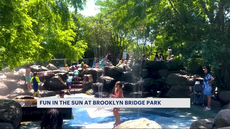 Story image: Have fun in the sun while visiting Brooklyn Bridge Park