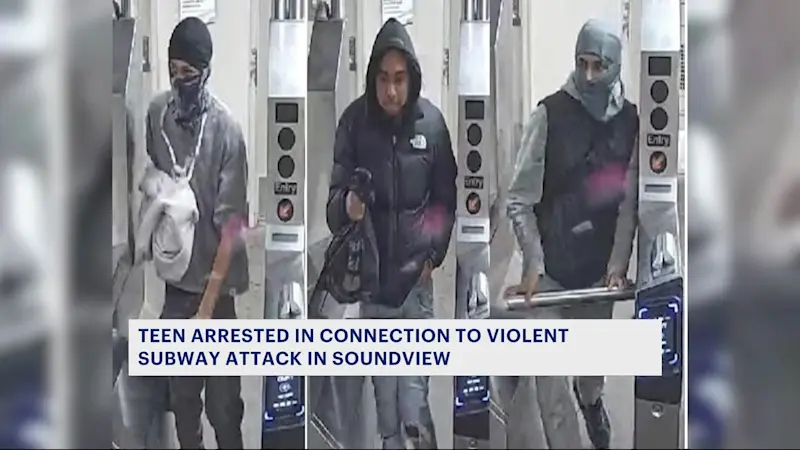 Story image: Teen arrested for role in brutal 6 train platform assault