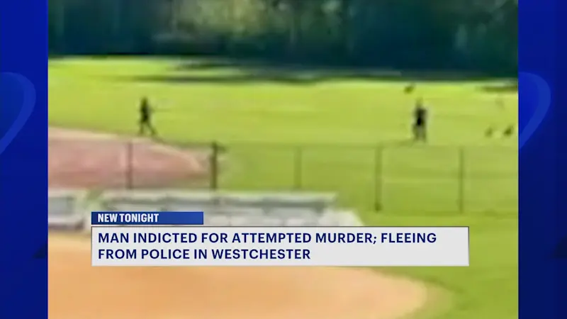 Story image: Greenlawn man indicted for attempted murder; accused of paralyzing woman, fleeing from police