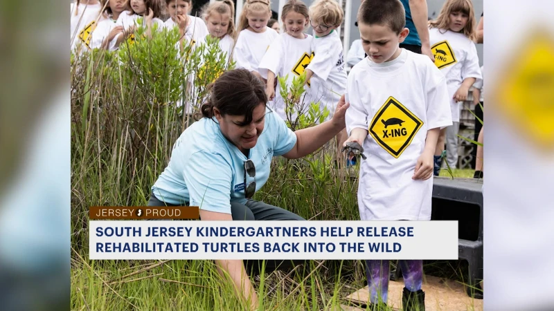 Story image: Jersey Proud: Group goes out looking for injured turtles out during nesting season