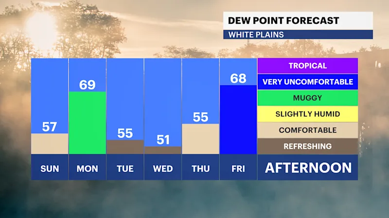 FB_Dewpoint_Daily.png
