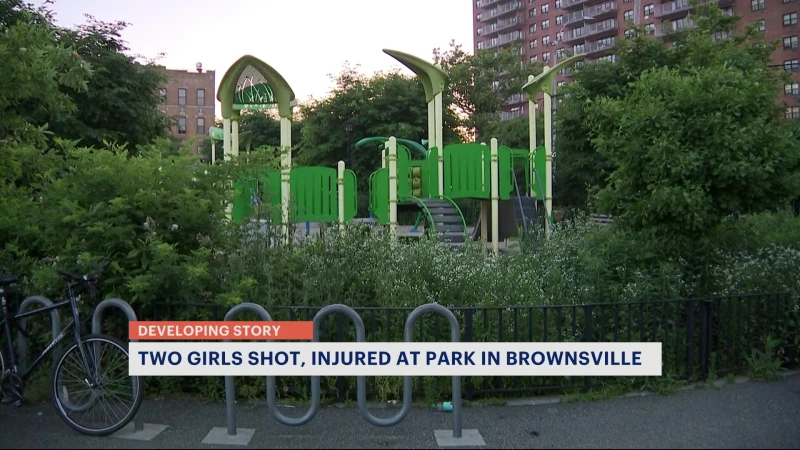 Story image: NYPD: Shooting at Brownsville playground injure 2 cousins; 2 shooters at large